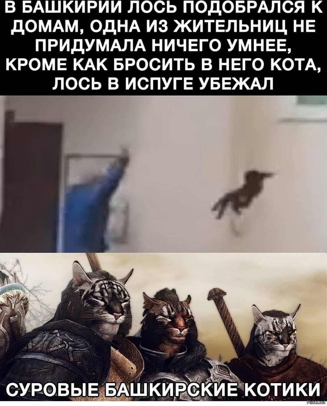 Солянка