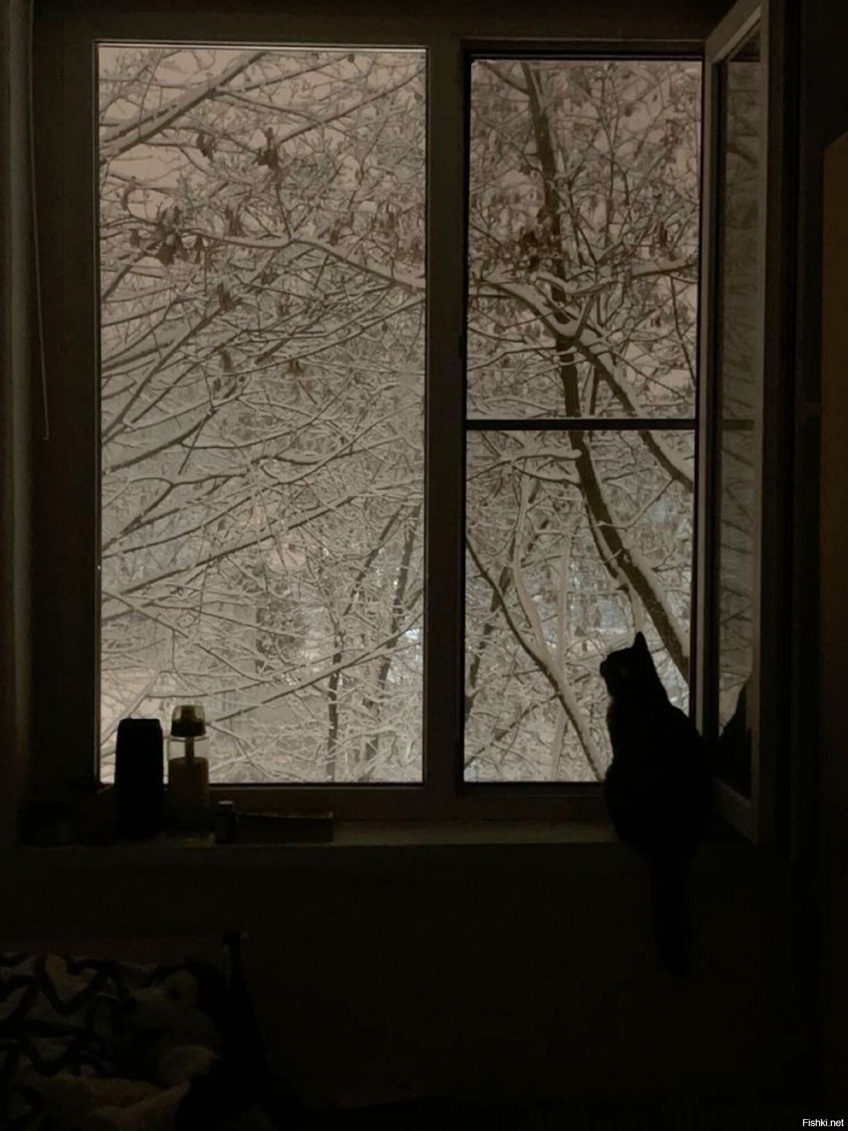 Солянка
