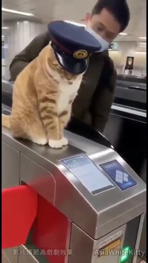 У МЕНЯ ВСЁ ПОД КОНТРОЛЕМ