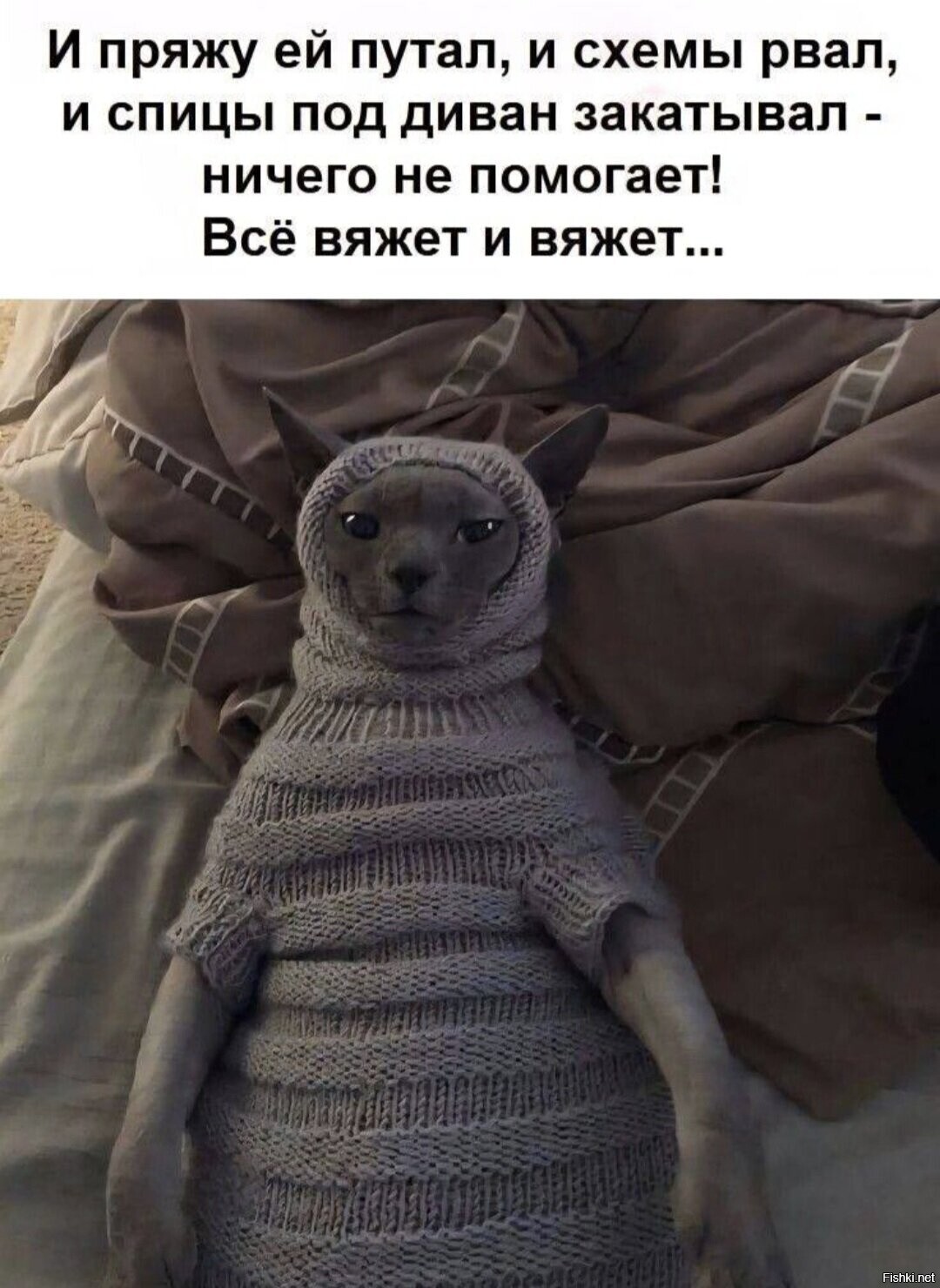 Доброе утро
