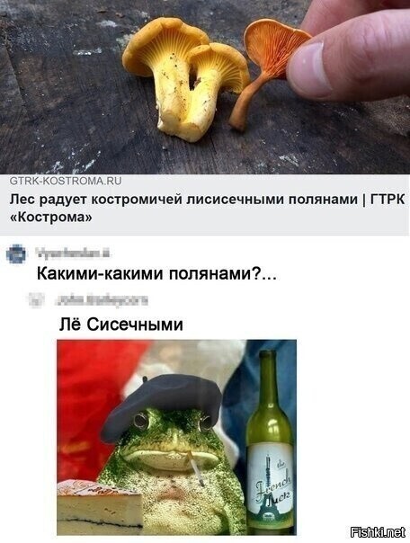 Солянка