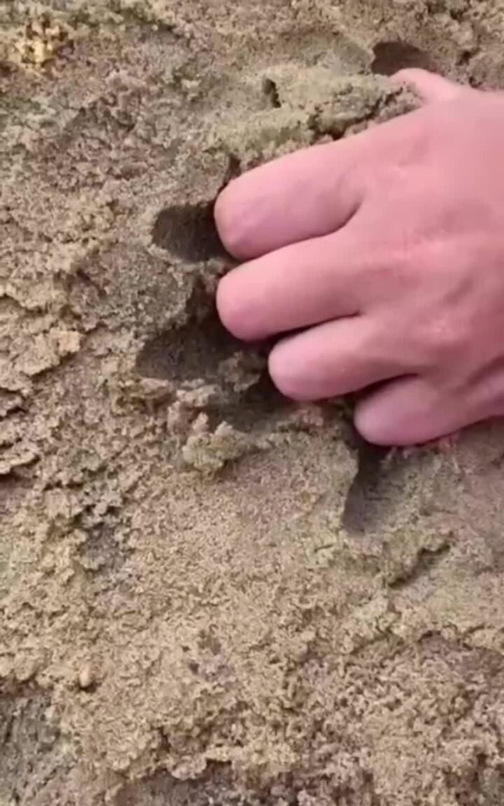 Размечталась