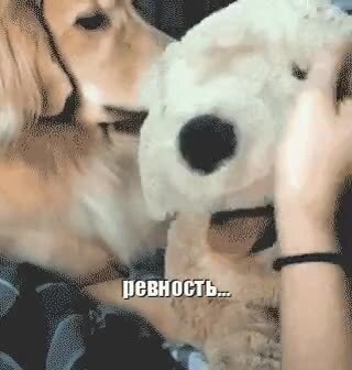 Р-ревность