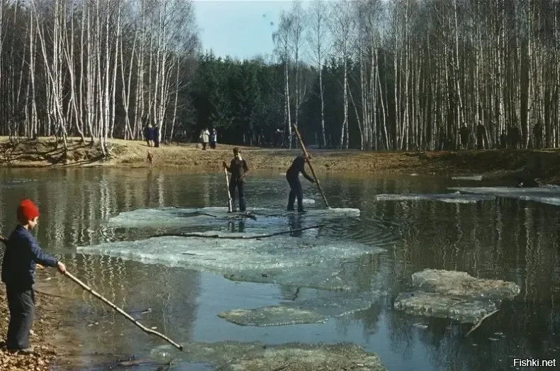 Катания на льдинах