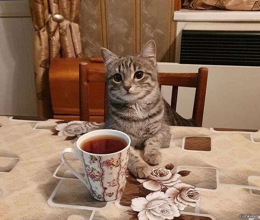 Сегодня День чая