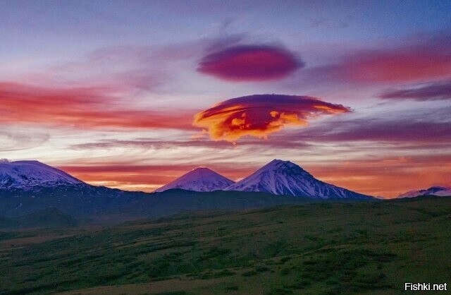 Солянка