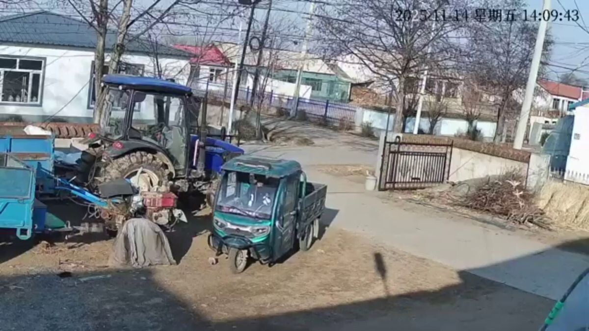 Кабан врезался в мотороллер