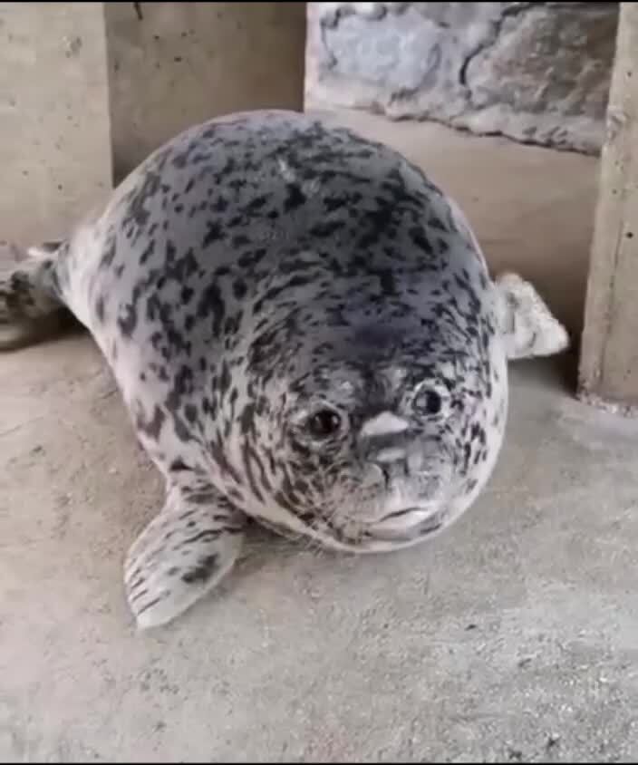 Осторожно