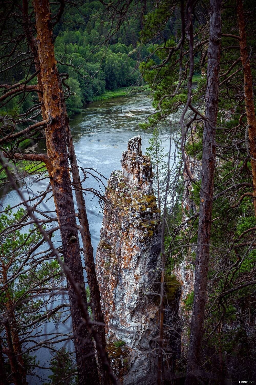 Солянка