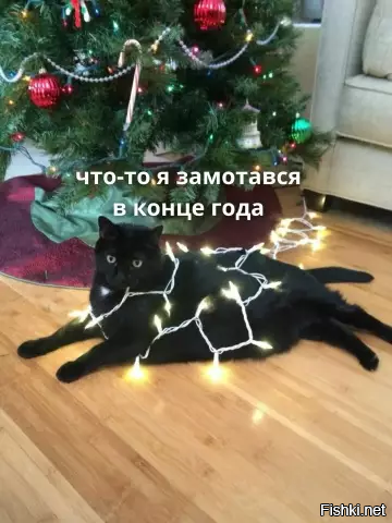 ¯\_(ツ)_/¯