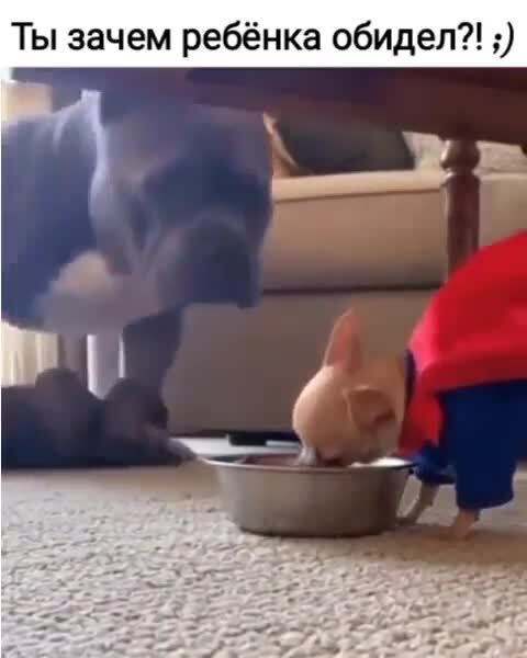 СуперХерой