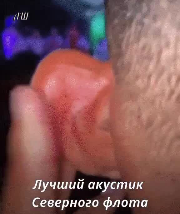 Северный флот, северный флот,