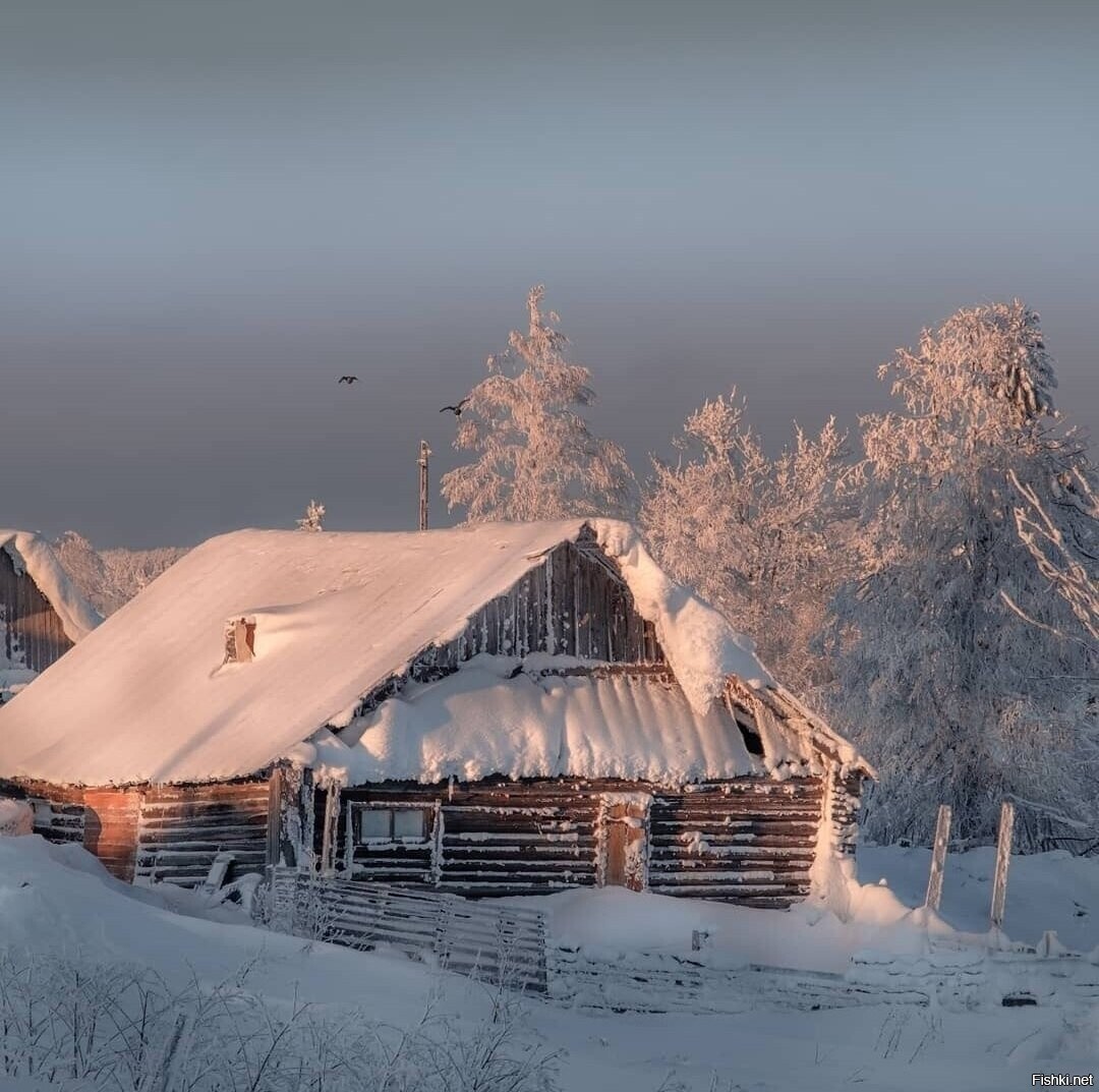 Солянка