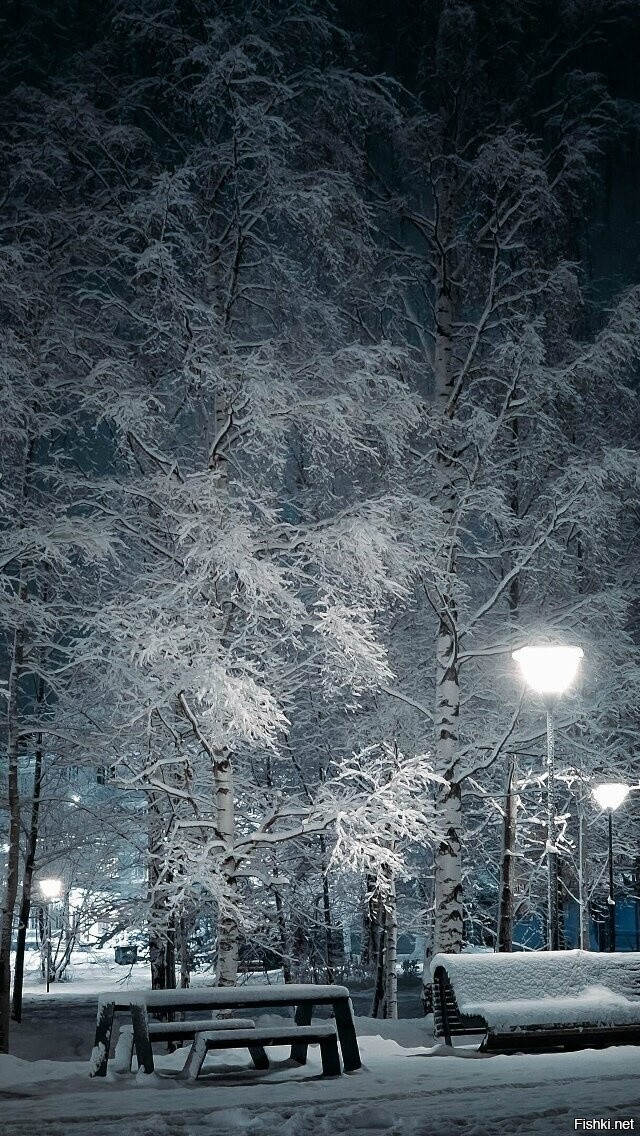 Солянка