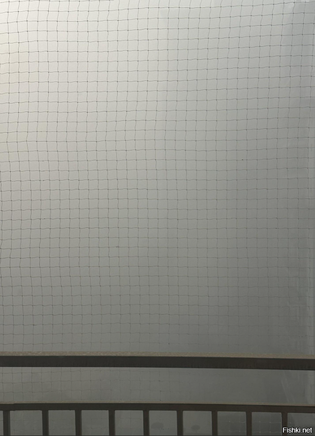 Вид с балкона в Дели, Индия