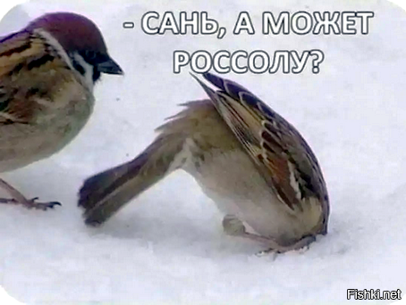 Солянка