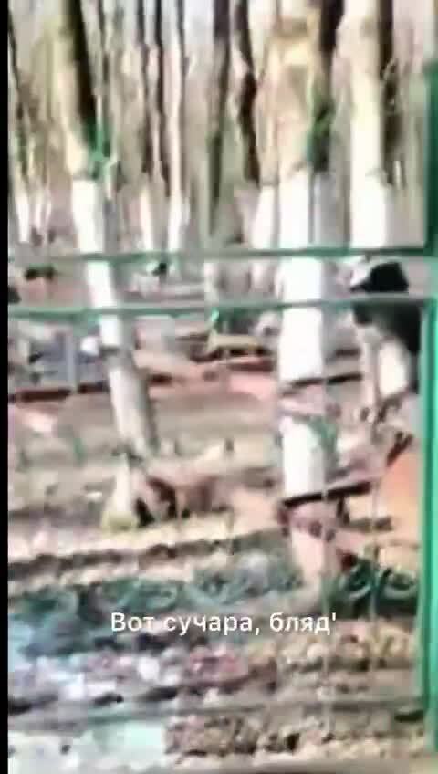 Не громко