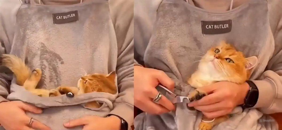 Фартук с карманом для кота