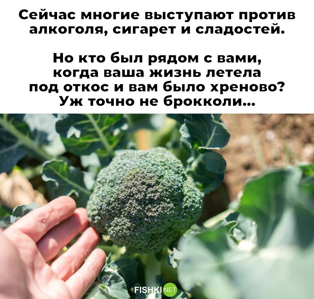 Смешные картинки