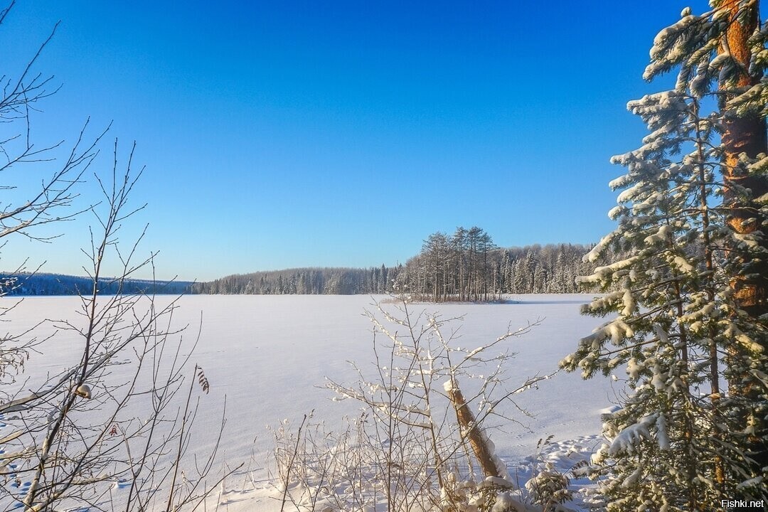 Лесное озеро