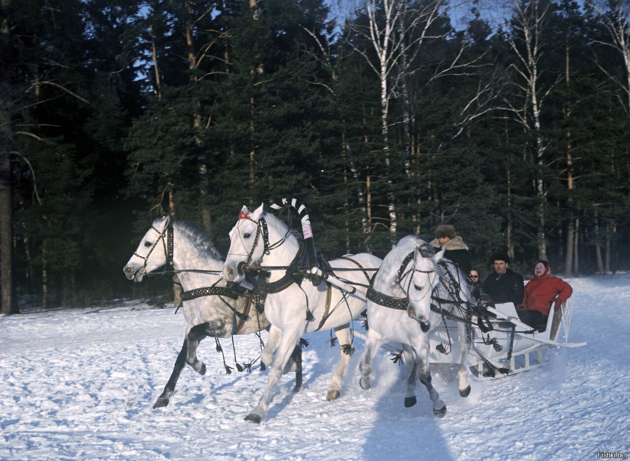 Солянка