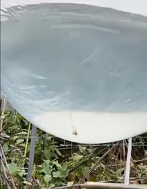 Ф - физика