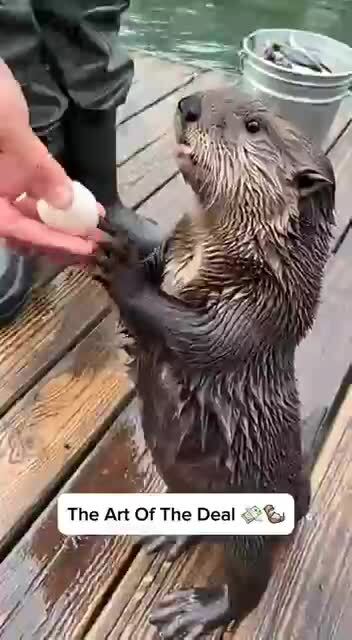 Ченч