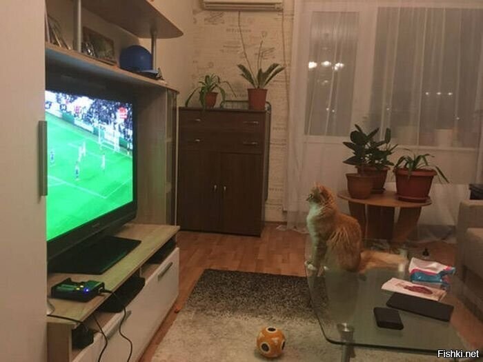 Солянка