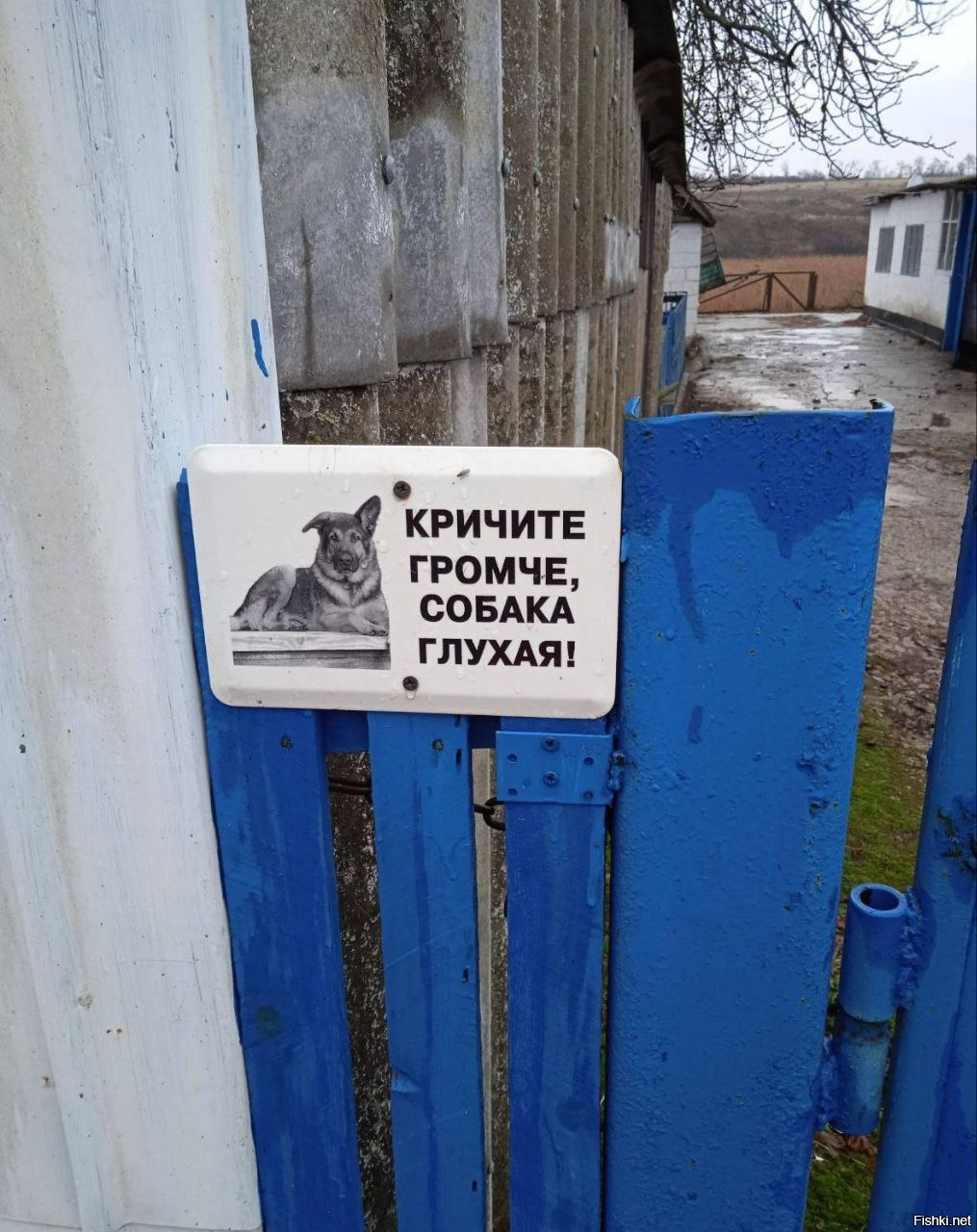 Солянка