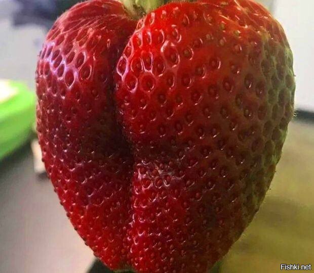 Тут нужна галочка