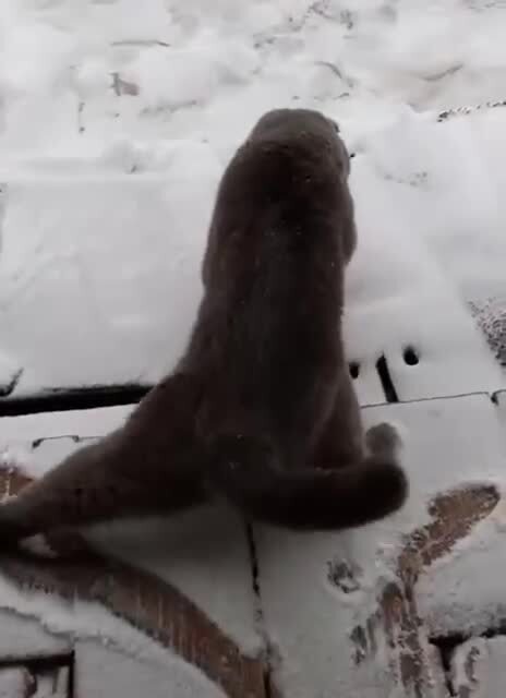 Когда забыл поменять резину )))