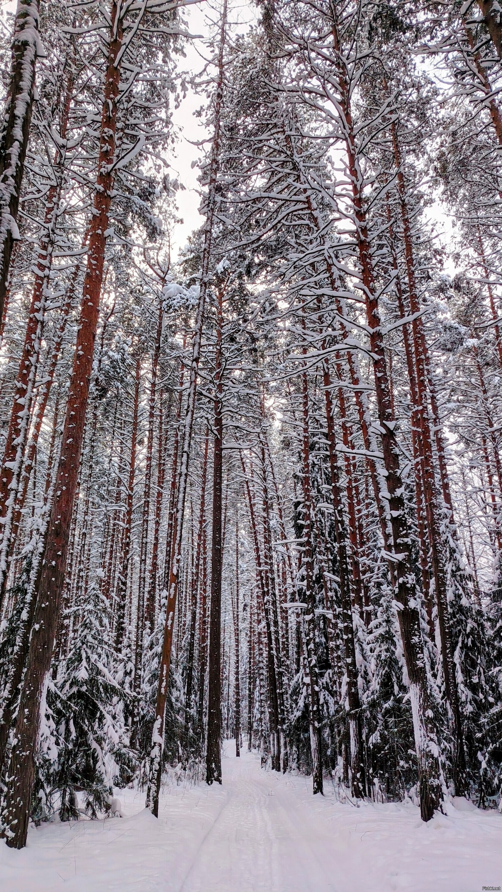 Сегодня, на окраине Перми
