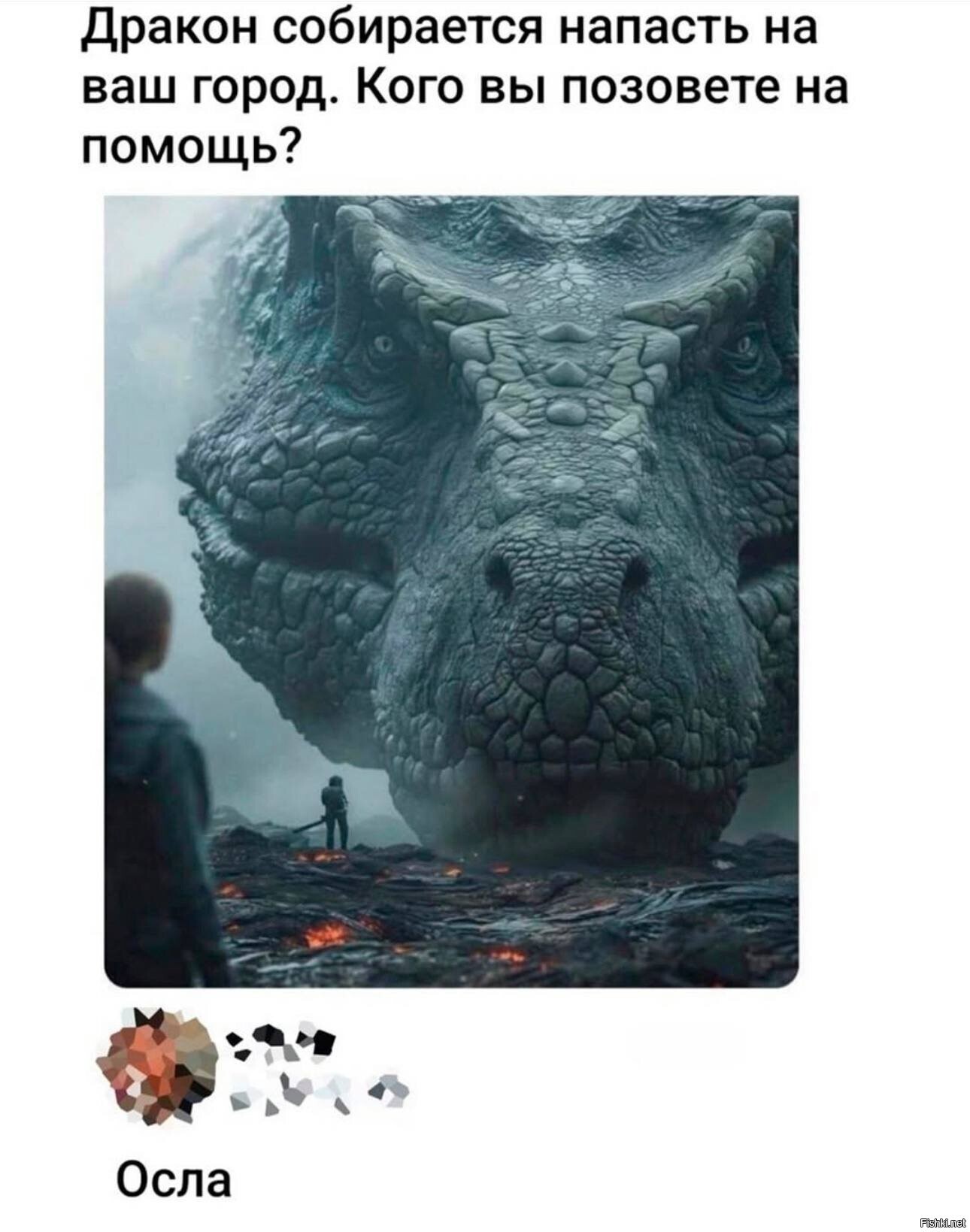 Солянка