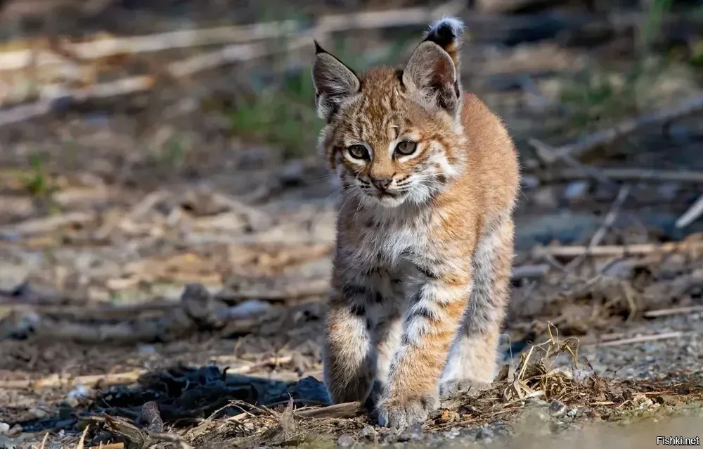 Всем добрейшего