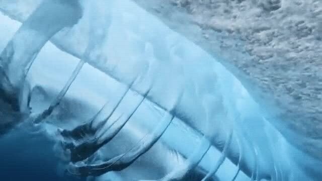 Анатомия волны: что скрывается под водой