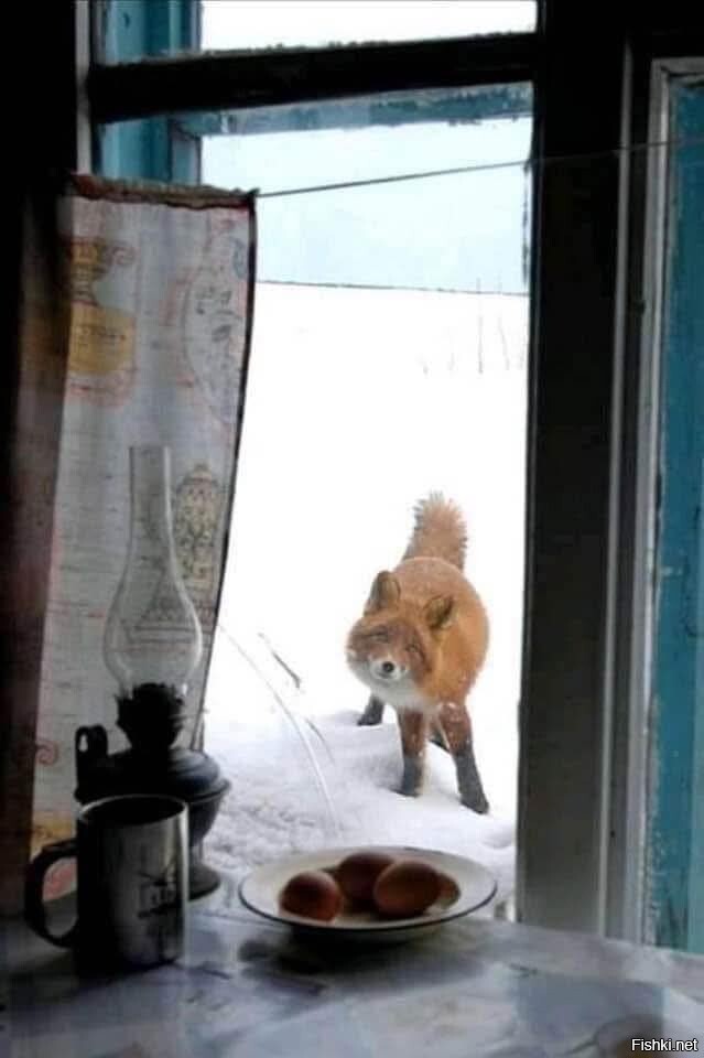 Солянка