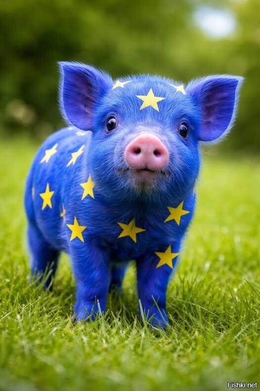 Big man, pig man