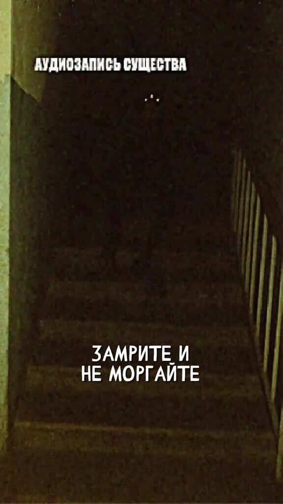 Важная информация