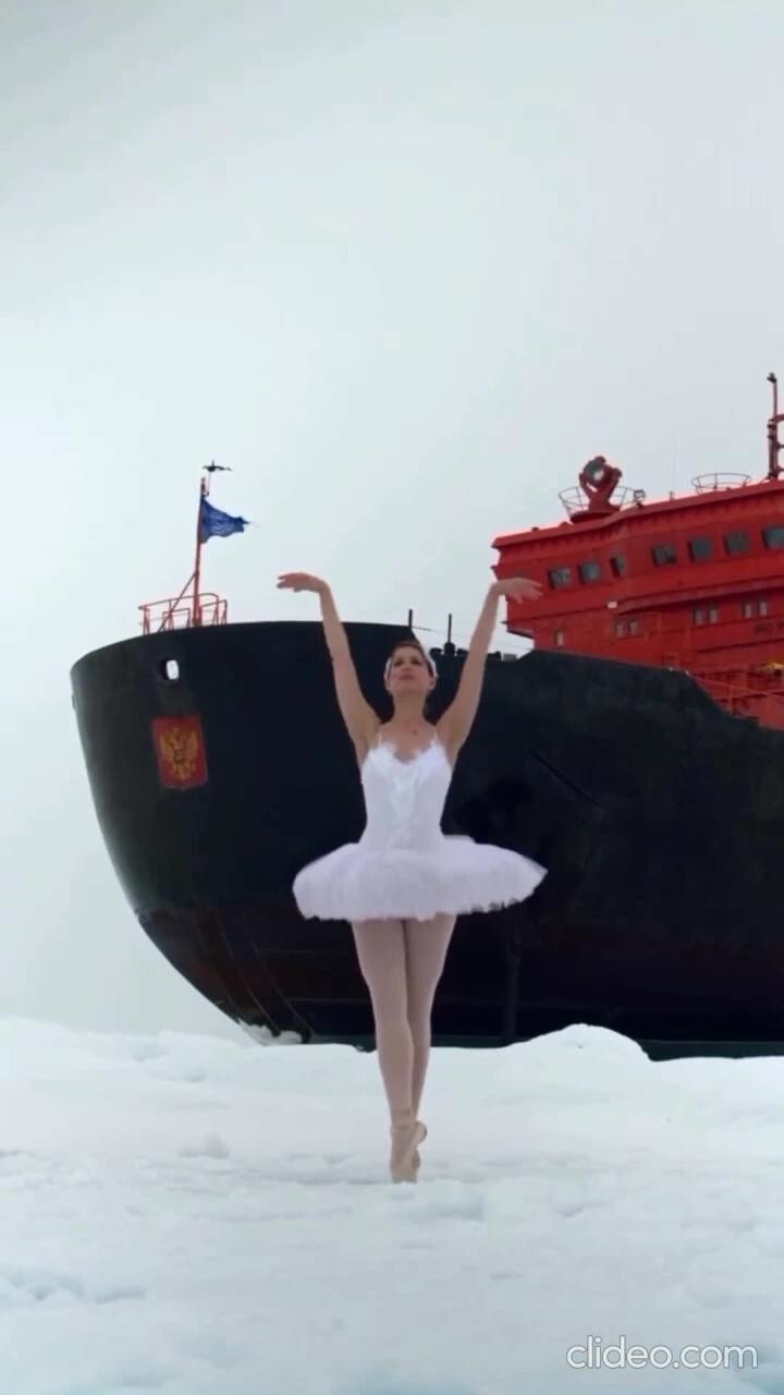 «Лебединое озеро» на Северном полюсе