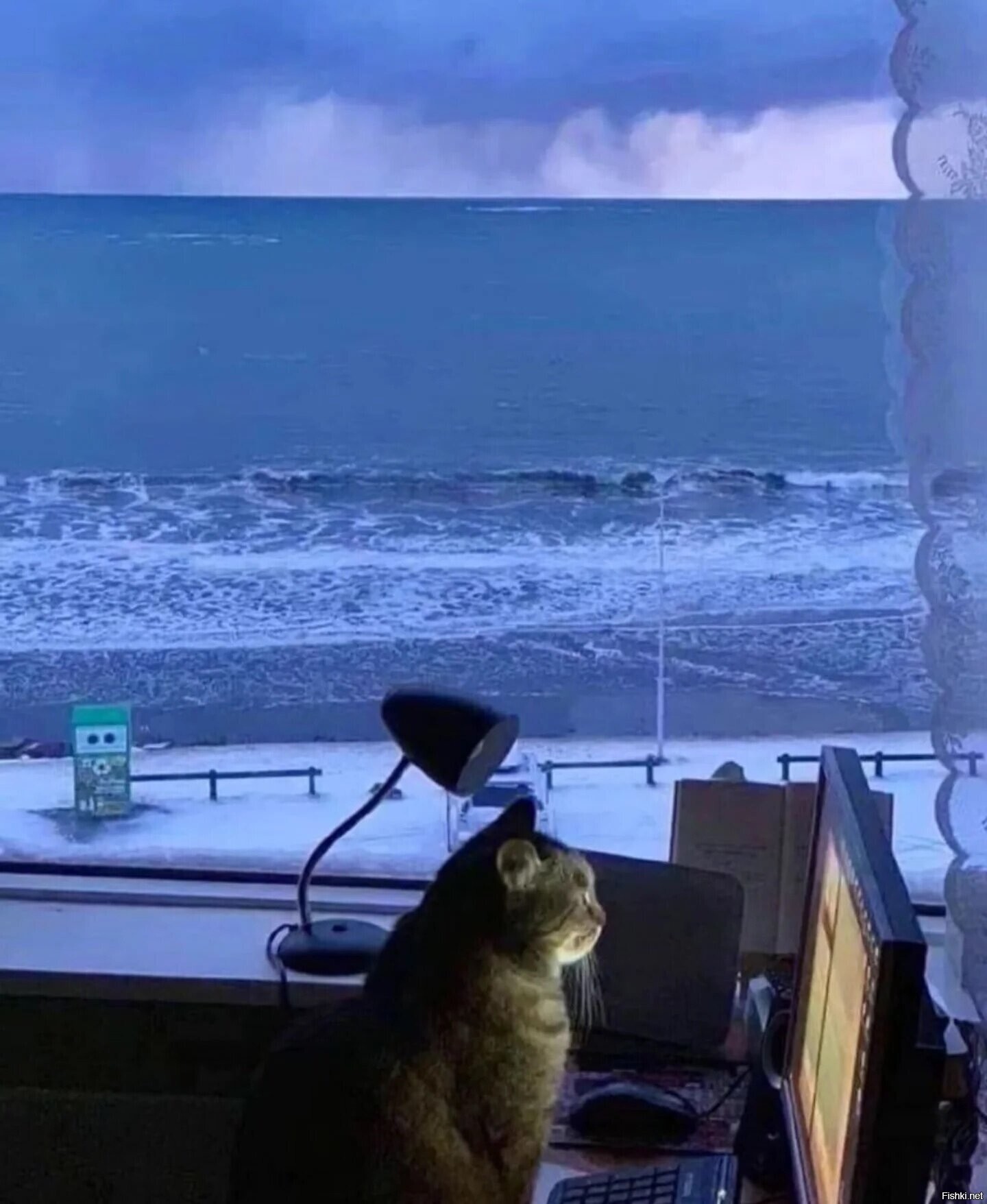 Солянка