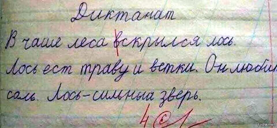 Солянка