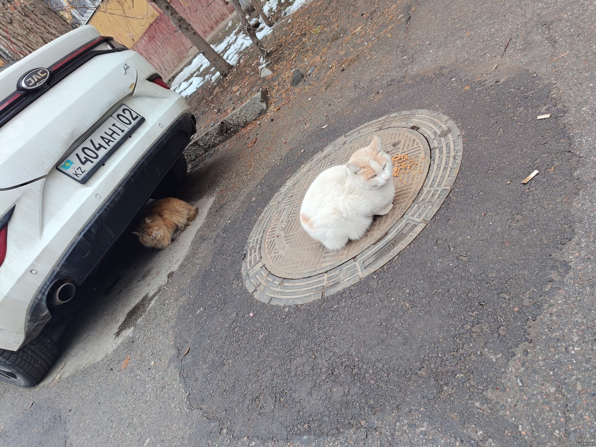 Во дворе