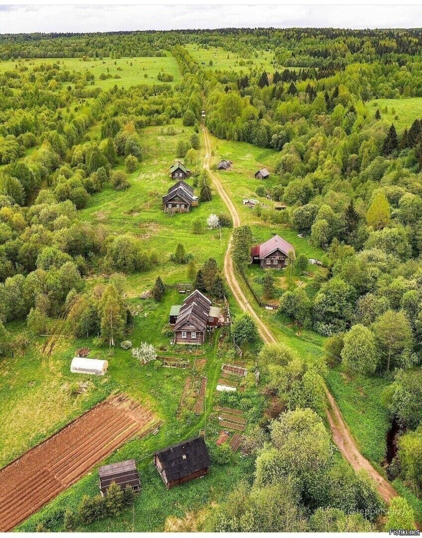Солянка