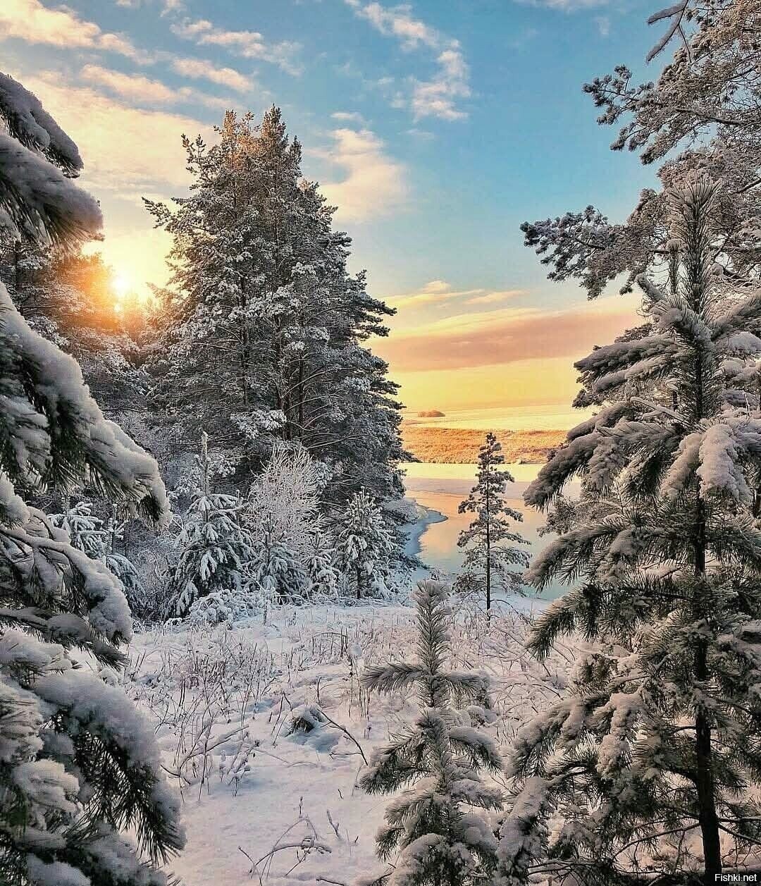 Солянка
