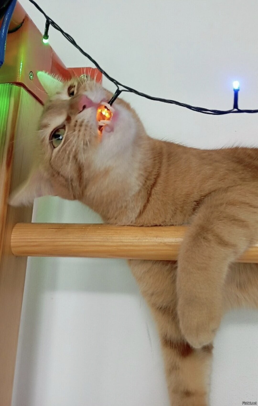 Доброе утро