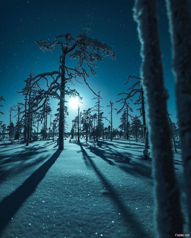 Солянка