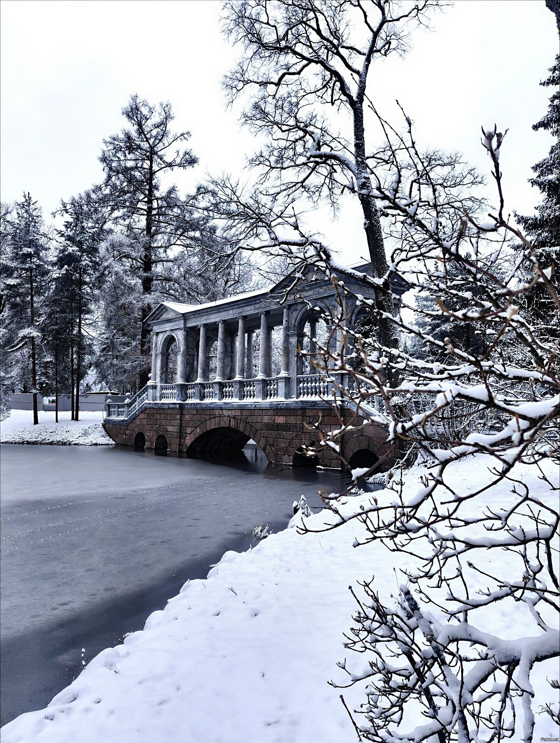 Солянка