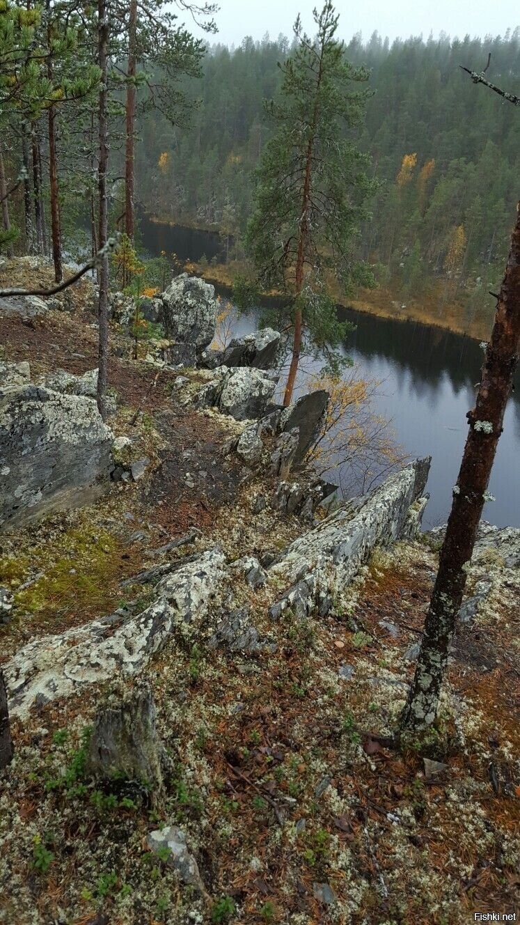 Солянка