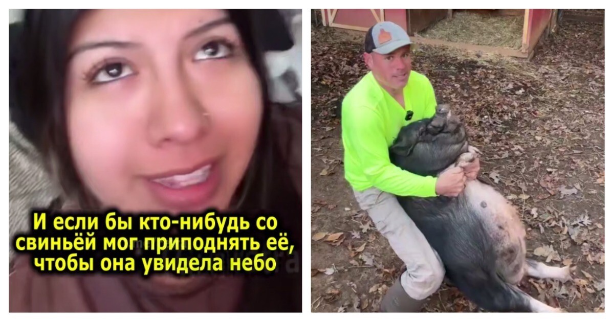Фермер исполнил странное желание незнакомки