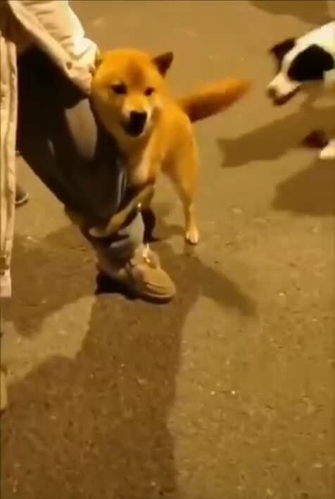 Я не трус,но я боюсь